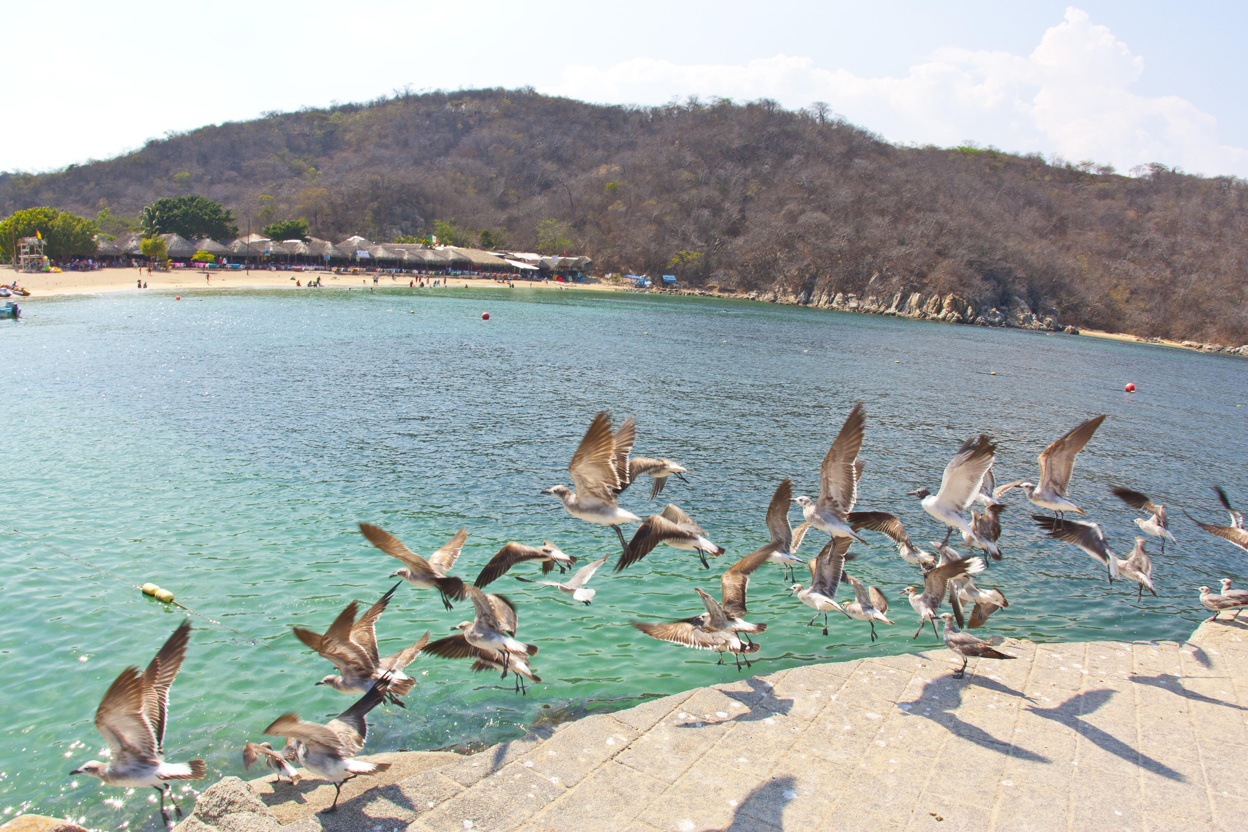 Villa Blanca Huatulco Santa Cruz Huatulco Exterior foto